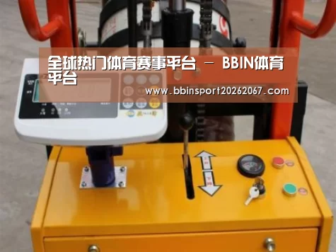 BBIN登录案例展示三