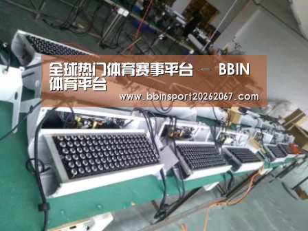 BBIN登录案例展示一