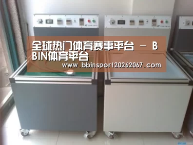 BBIN登录案例展示二