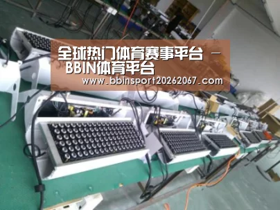 BBIN登录案例展示一(图1)