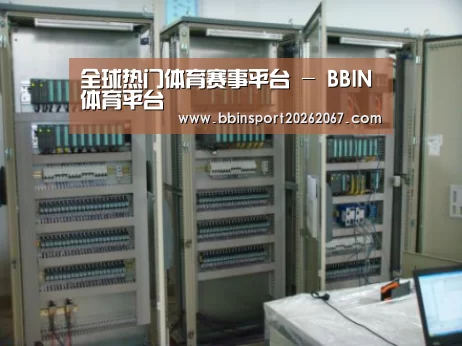 BBIN登录案例展示五(图1)