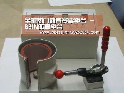 BBIN登录案例展示六