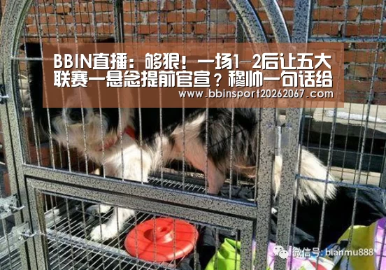 BBIN国际厅