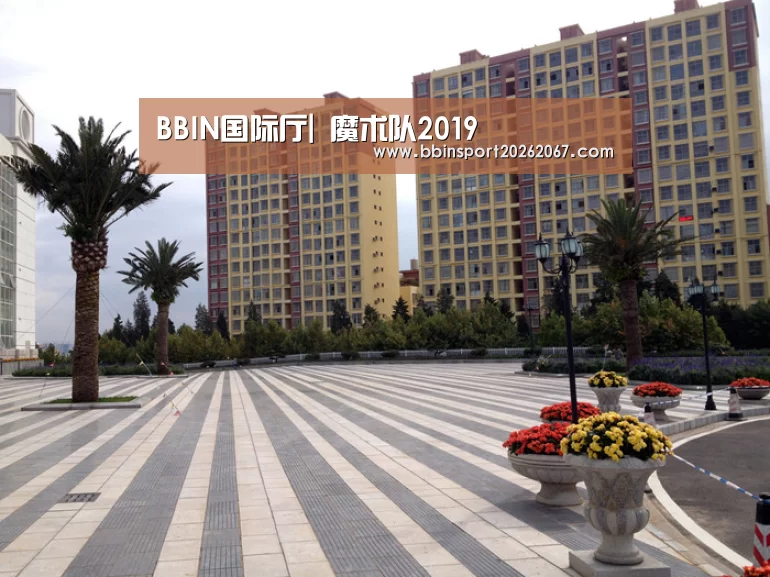 BBIN国际厅|
魔术队2019(图2) BBIN国际厅