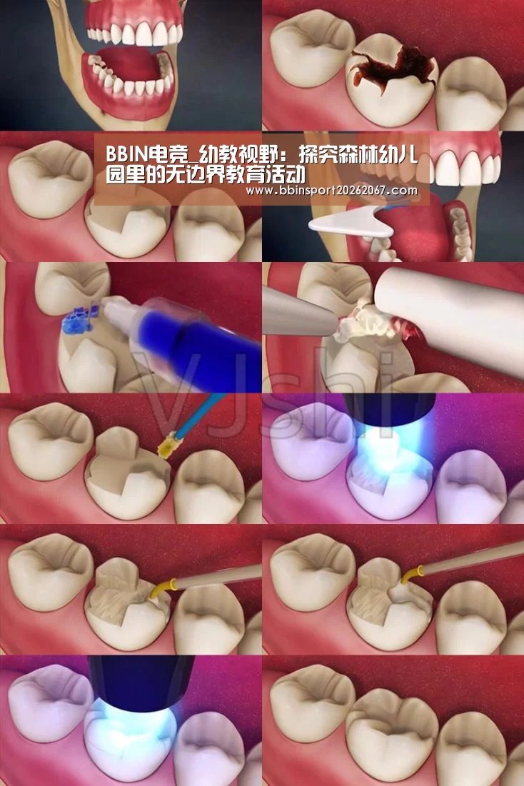BBIN电竞_幼教视野:探究森林幼儿园里的无边界教育活动(图1) BBIN电竞