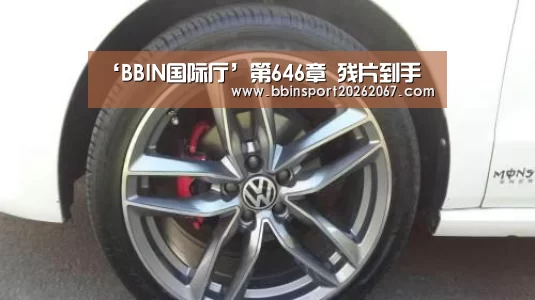 ‘BBIN国际厅’第646章 残片到手(图1) BBIN国际厅